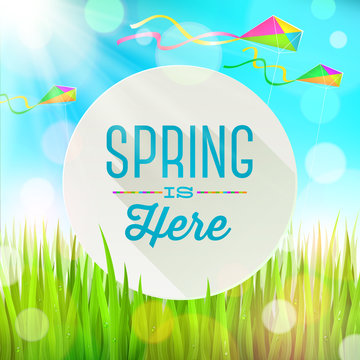 Spring greeting banner on a landscape with grass and kites