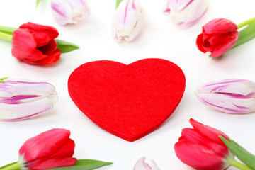 Tulpen liegen im Kreis um ein Herz