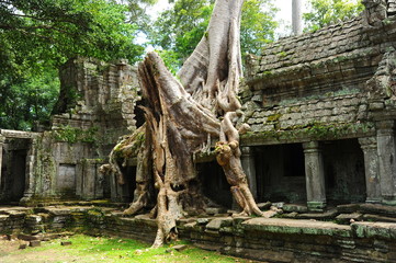 Fototapeta na wymiar Ancient Ruin of Preah Khan Temple in Angkor Thom, Cambodia