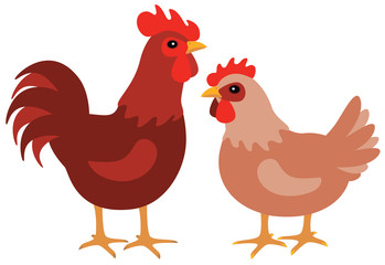 Hen and rooster