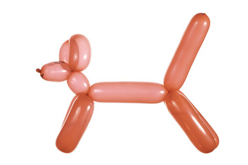 dog-shaped balloon