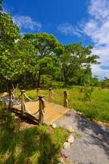 Wooden footbridge with trees and sky in background