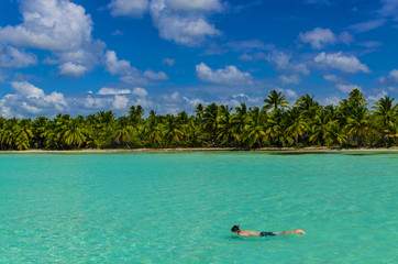 Fototapeta na wymiar Nurkowanie, nurkowanie, wybrzeże Wysp Karaibskich, Saona, Dominicana