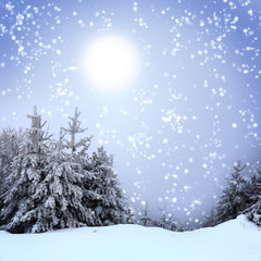 Beautiful winter landscape with snow covered trees