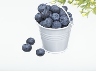 Bucket full of blueberries