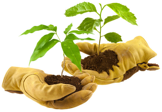 concept bourse d'&eacute;change de plantes