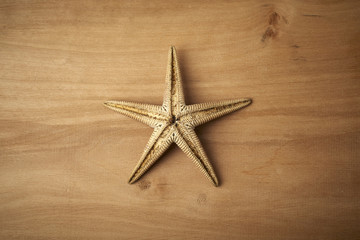 starfish on a wooden table