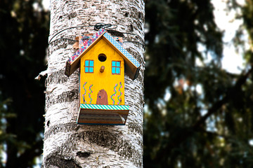 Birdhouse on a tree