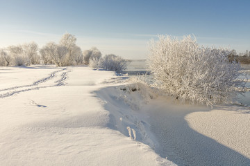 Naklejka premium traces