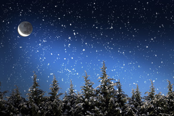 Fototapeta na wymiar Piękny zimowy krajobraz z ośnieżonych drzew w nocy
