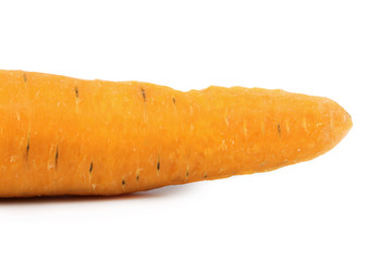 Close up of fresh carrot.
