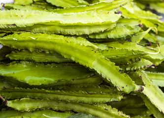 Psophocarpus tetragonolobus