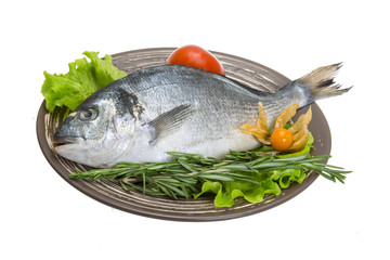 Raw dorado with herbs