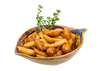 Armillaria
