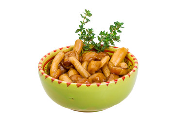 Armillaria
