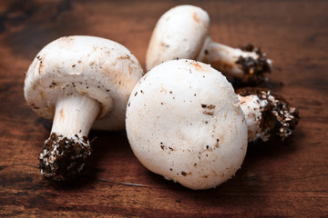 mushrooms