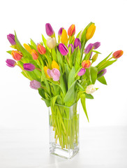 Vase of Tulips isolated