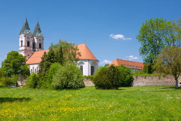 Fototapeta na wymiar Niederalteich, Kloster, Basilika, Blumenwiese, Klostermauern