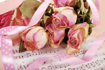 pink dried roses on old note paper