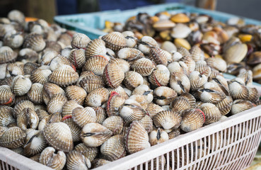ark shell and sea mussle in baskets