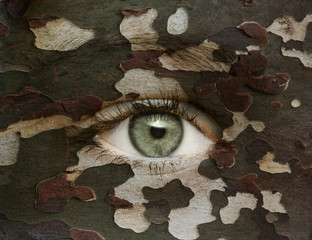 Auge mit Camouflage