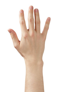 adult man hand showing five fingers