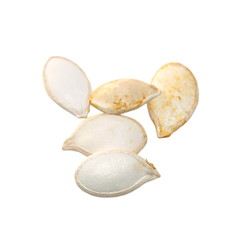 pumpkin seeds isolated on white background