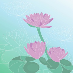 Lotus flower. Hand drawn vector art