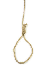 Noose on white