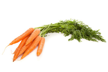 Bunch of fresh carrots