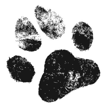 Verwitterter Tierpfotenabdruck auf sandigem Untergrund