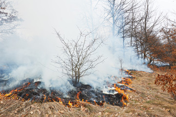 Fire disaster