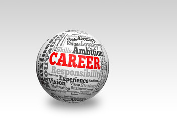 Career 3d