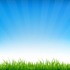 Obraz premium Blue Sky With Grass