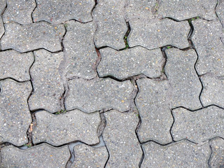 Obraz premium Pflastersteine