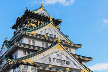Fototapeta premium Osaka Castle in Japan