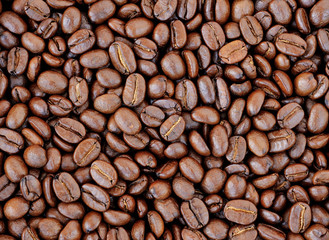 coffee beans