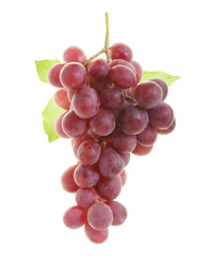 red grape