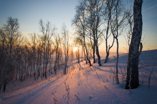 Sunrise in winter