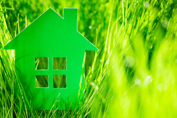 Green paper house
