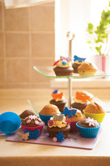 Decorated cupcakes