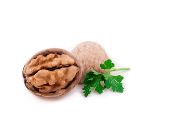 Isolated walnut and parsley Turkish ceviz on white background