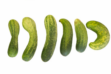 poor cucumber