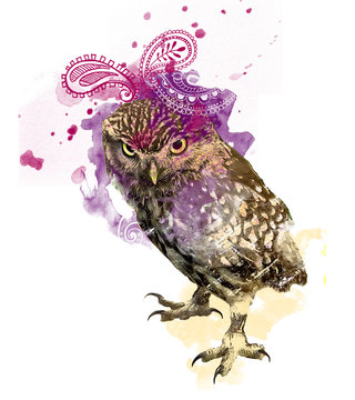 watercolor owl, ink splash