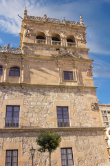 Obraz premium medieval buildings in the historic city of Salamanca, Spain