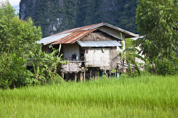 Obraz premium Village house in Laos.
