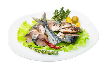 Mackerels