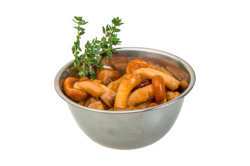 Armillaria