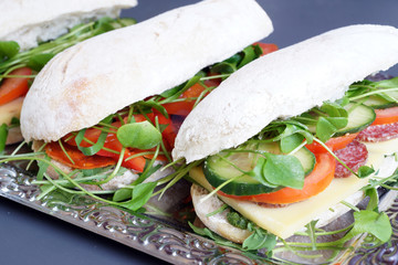 Ciabatta Panini Sandwiches