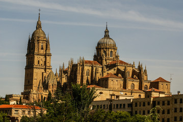 Fototapeta premium One of the towers of the New Cathedral of Salamanca, Spain, UNES